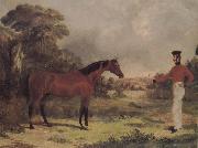 John Frederick Herring The Man and horse oil painting on canvas